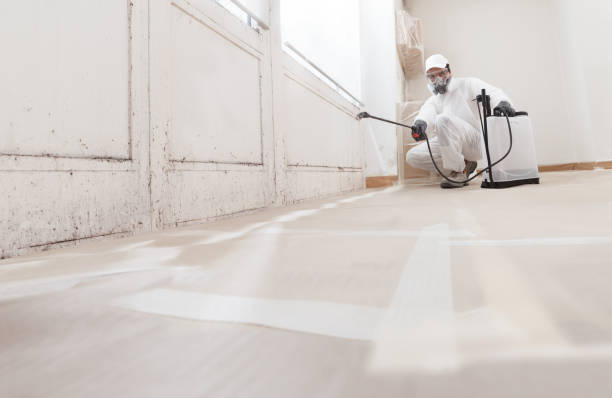24/7 Emergency Mold Remediation experts in Hertford, NC